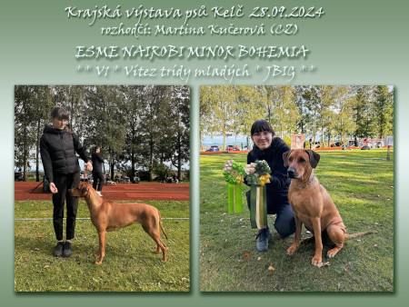 Krajská výstava psů Kelč 28.09.2024